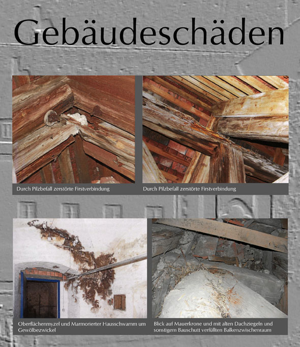 Schadensbild